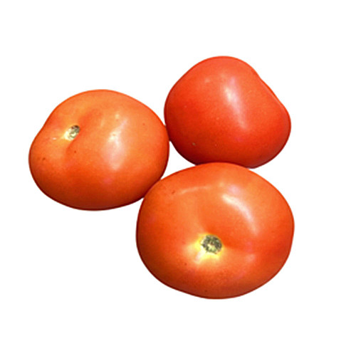 Round Tomatoes 6pk