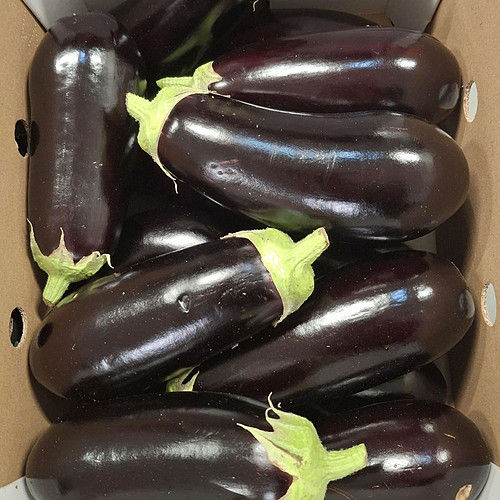 Aubergines 5Kg