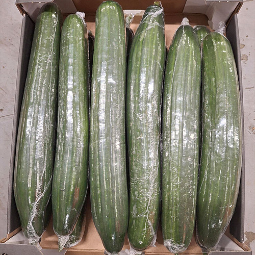 Cucumber Large Box