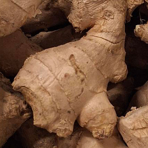 Fresh Ginger Box 10Kg