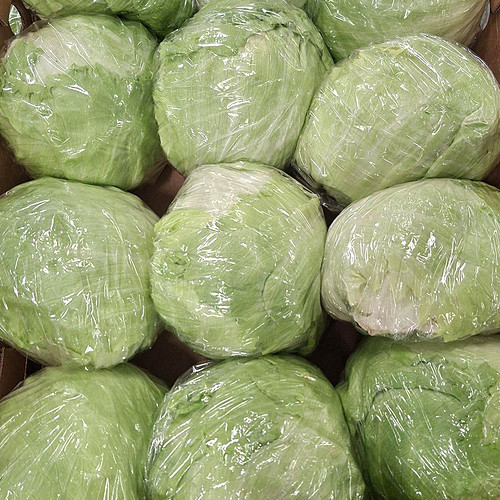 Iceberg Lettuce Box