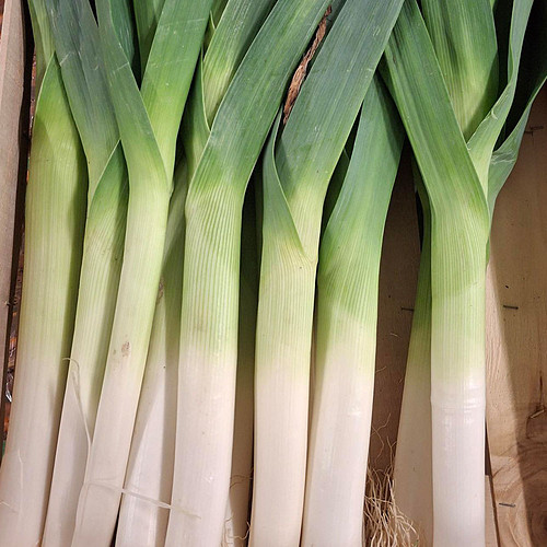 Leeks 4.5Kg