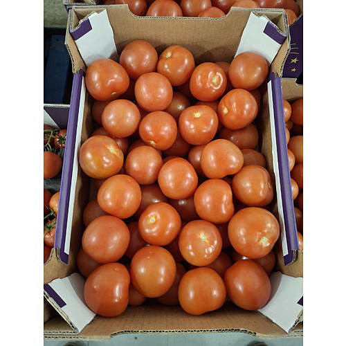 Round Tomato 6Kg